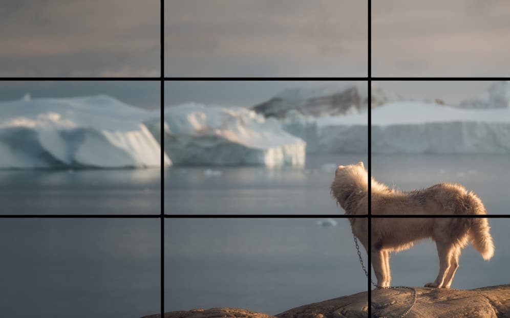How To Take Better iPhone Pictures (In 5 Simple Steps) Take Better iPhone Pictures