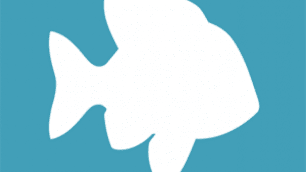 How To Delete A POF Account (The #1 Simplest Method)