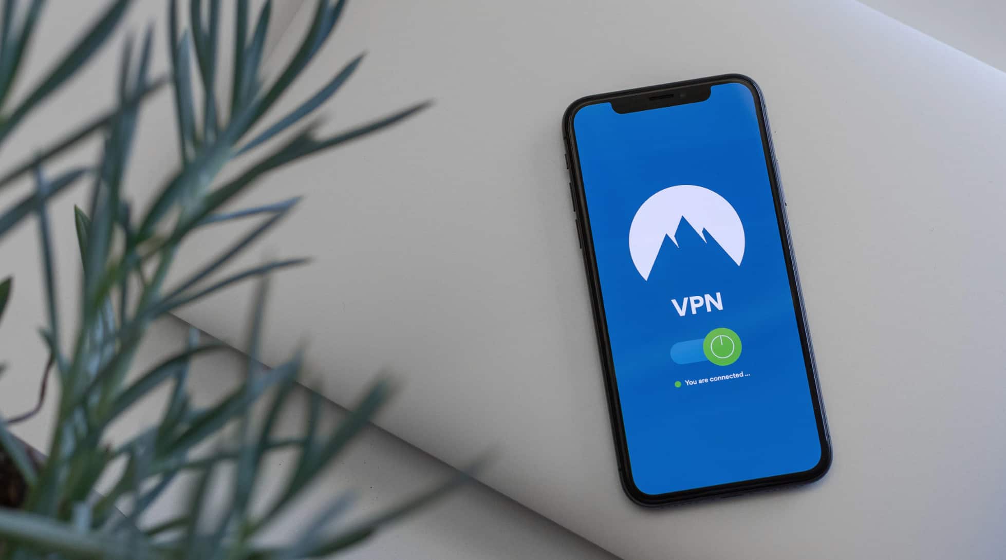 Best VPN Service 2024: The 3 Best Options Right Now top-no-log-vpn