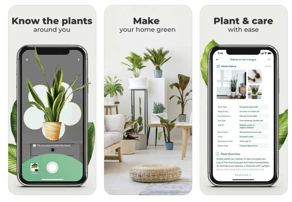 10 Apps For Identifying Plants – Cream Of The Crop