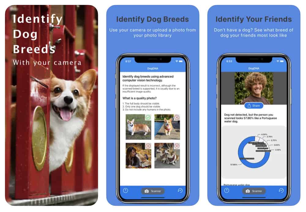 The 10 Best iPhone Apps For Dog Owners In 2020 (Updated)