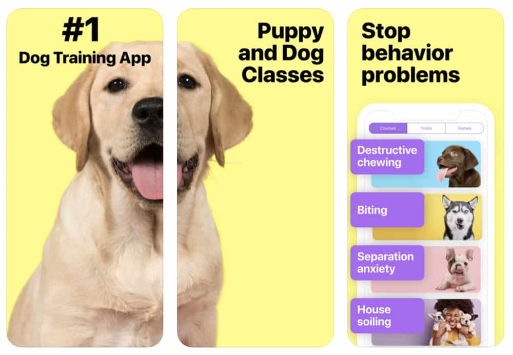 The 10 Best iPhone Apps For Dog Owners In 2020 (Updated)