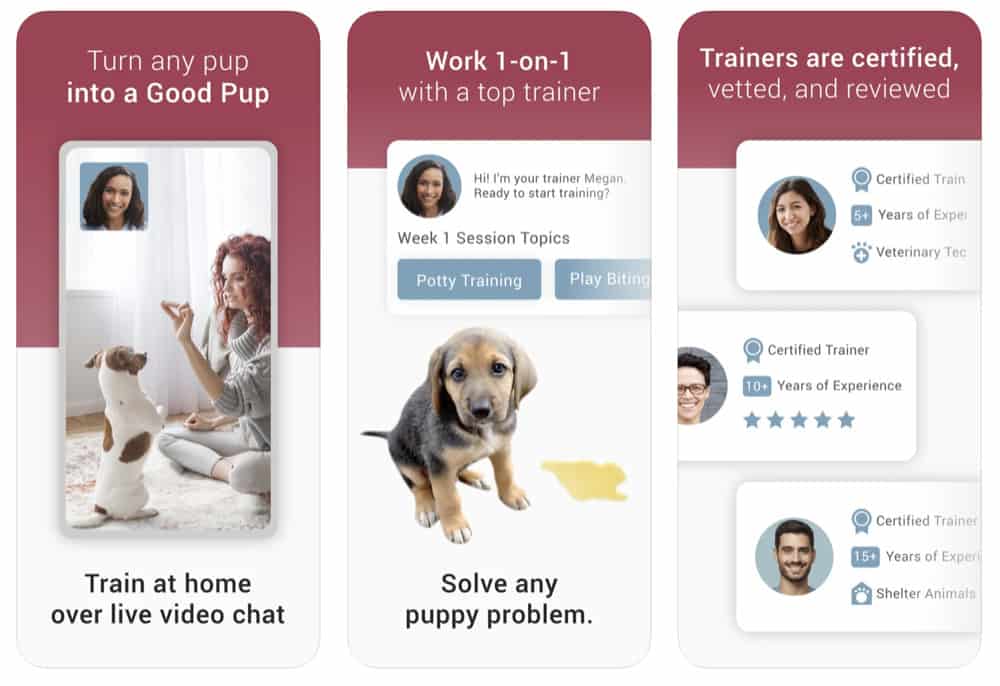 The 10 Best iPhone Apps For Dog Owners In 2020 (Updated)