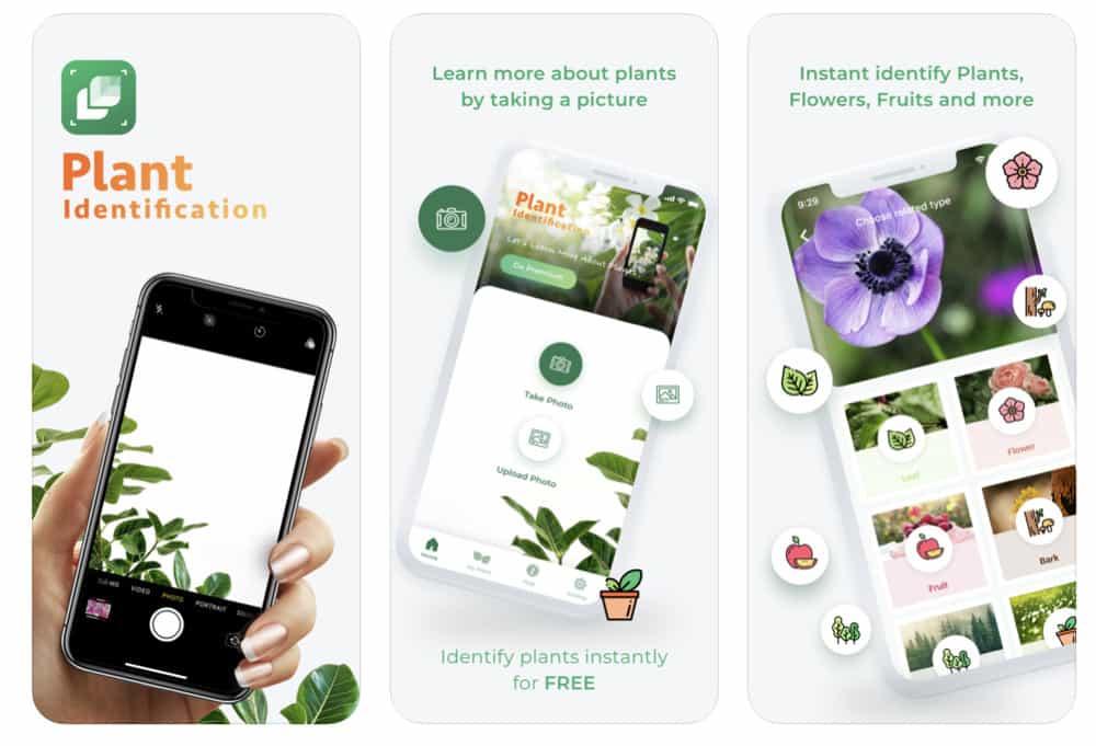 10 Apps For Identifying Plants – Cream Of The Crop