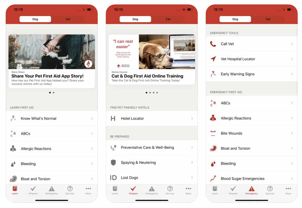 Pet First Aid