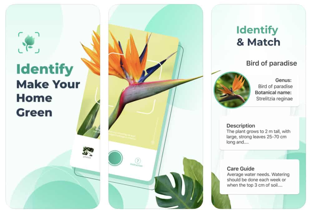 The 10 Best Apps For Identifying Plants – 2020’s Cream Of The Crop (Updated) PictureThis - Plant Identifier