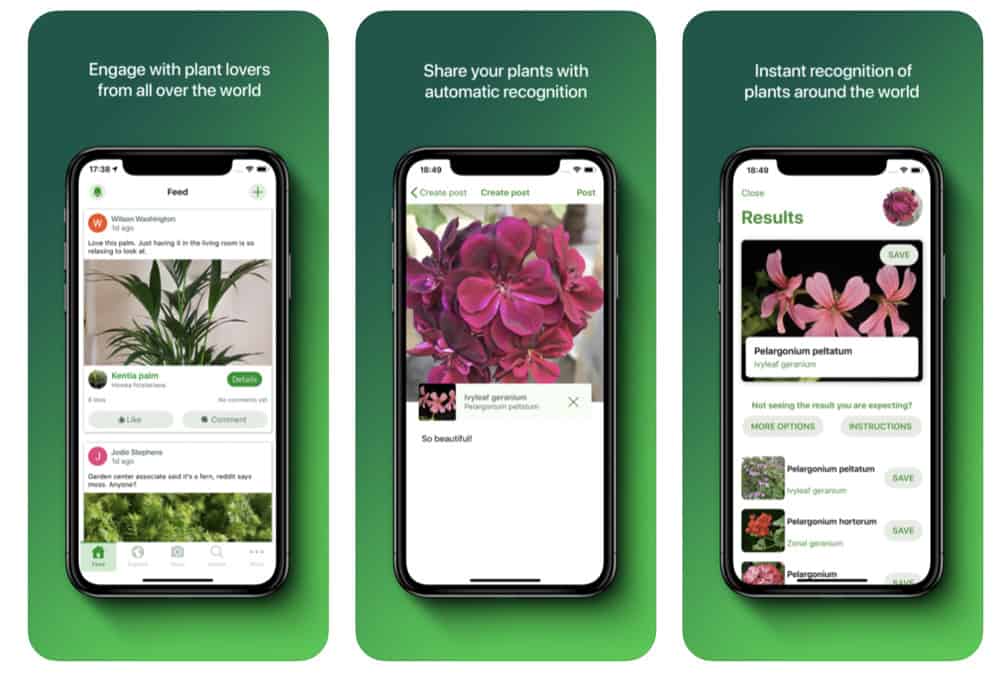 10 Apps For Identifying Plants – Cream Of The Crop