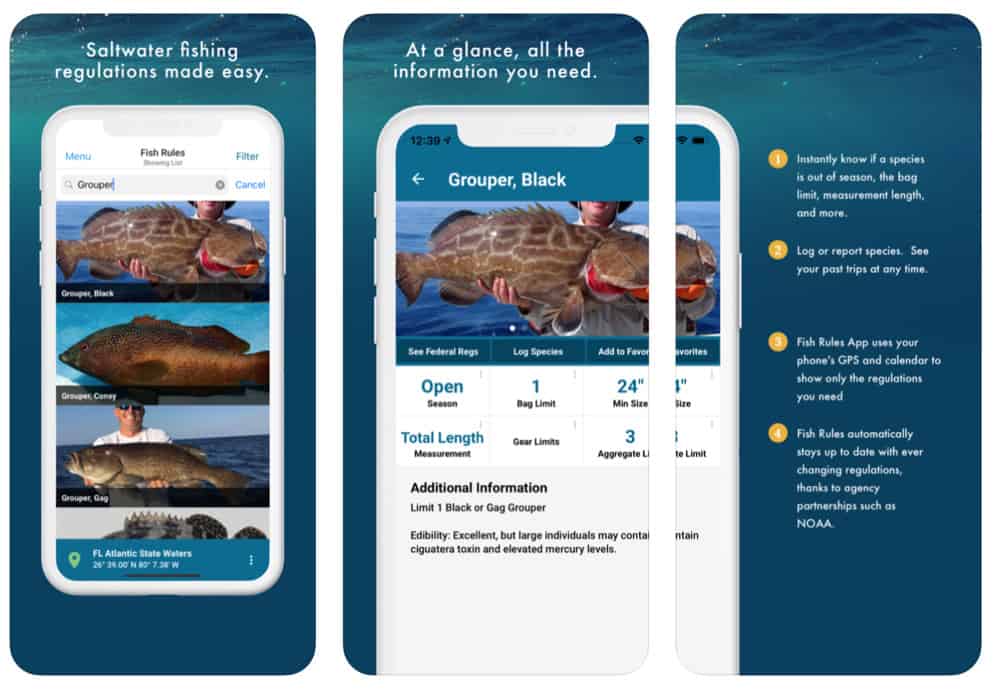 Best iPhone Apps For Fishing