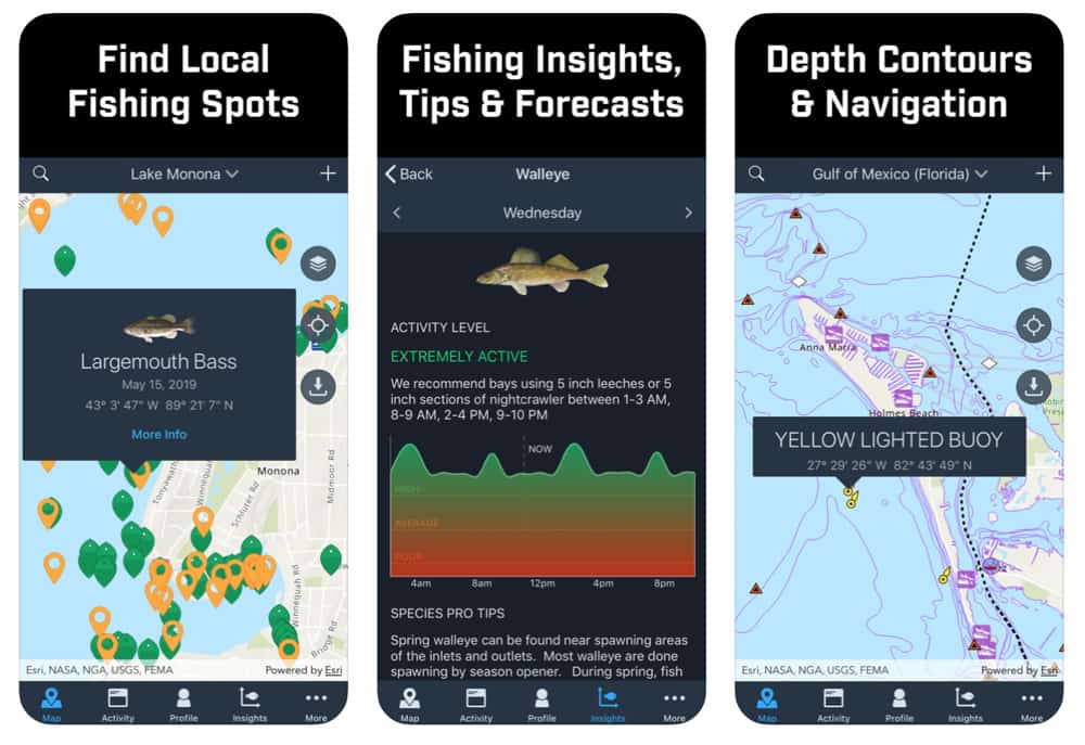 Best iPhone Apps For Fishing