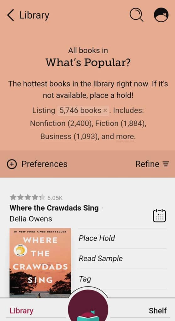 Want Free AudioBooks? Download The Libby App – It Has Thousands…