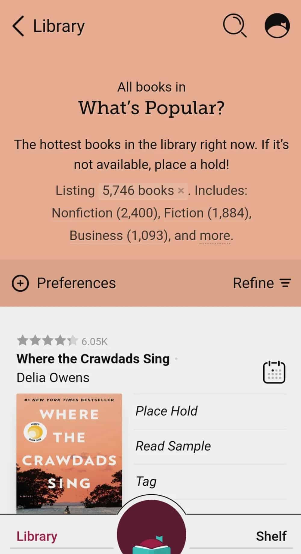 libby app online libby app online