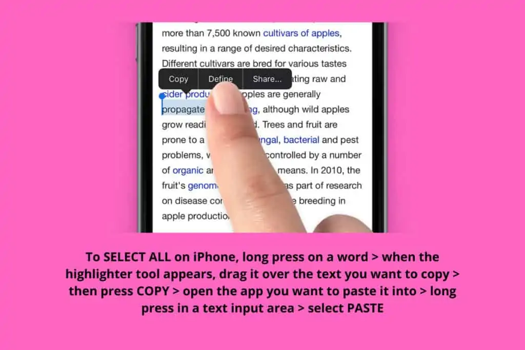 How To Select All on iPhone (The Easy Way) How To Select All on iPhone (The Easy Way)