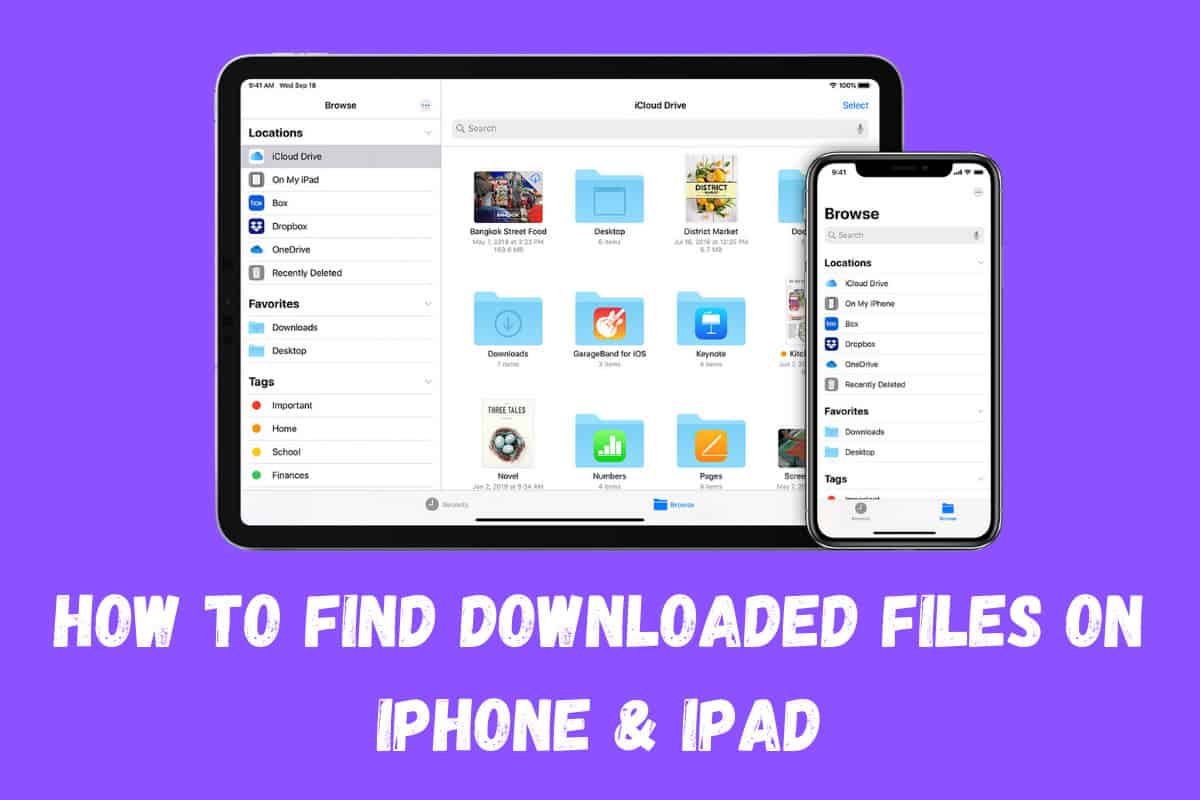 How To Quickly Find Downloaded Files on iPhone