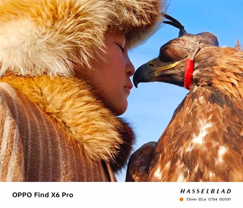 Oppo Find X6 Pro vs Oppo Find X6: Did You Know There Was A Non-Pro Find? Oppo Find X6 Pro vs Oppo Find X6: Did You Know There Was A Non-Pro Find?