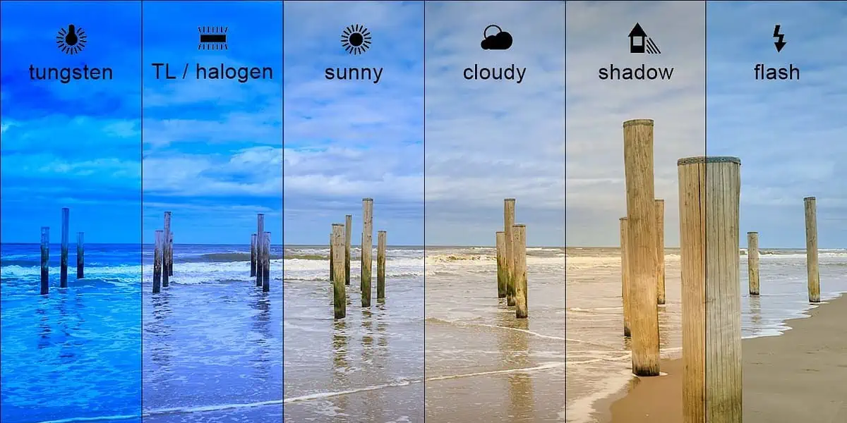 Smartphone Camera Settings Explained: A Beginner's Guide To Shooting Like A Pro white-balance