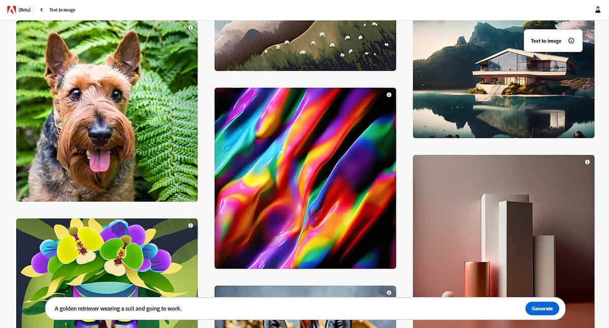 How To Use Adobe Firefly For Text To Image Generation? How To Use Adobe Firefly For Text To Image Generation?