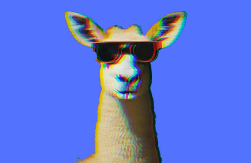 Llrma 2