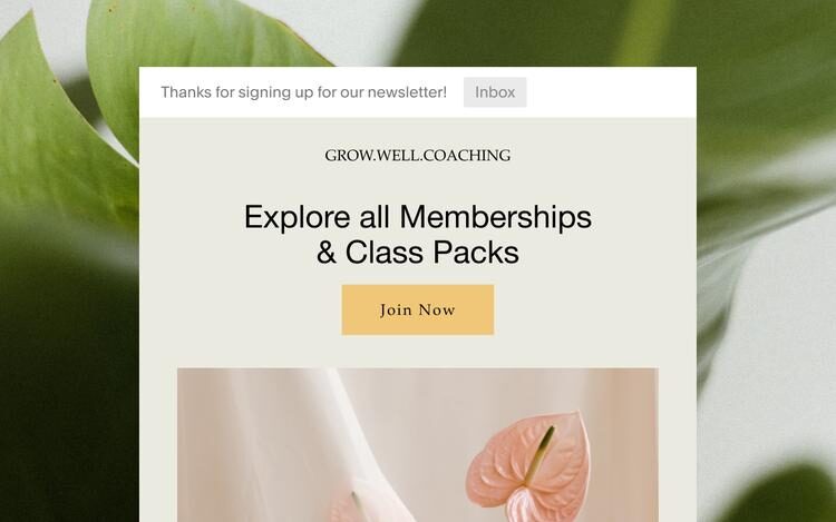 6 Ways Squarespace Is Better Than Shopify For Creators, Influencers 6 Ways Squarespace Is Better Than Shopify For Creators, Influencers